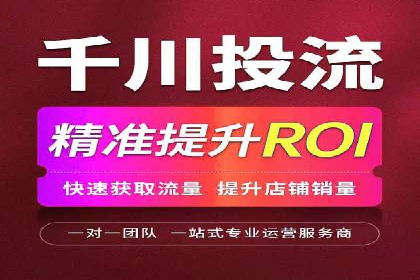 百度SEO推广成功案例：品牌知名度提升